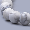 Natural Howlite Beads Strands G-S259-47-10mm-3