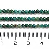 Natural Chrysocolla Beads Strands X-G-P514-A03-02-01-4