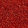 TOHO 6/0 Round Beads X-SEED-TR06-0025-4