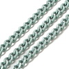 Spray Painted 304 Stainless Steel Curb Chains STAS-B067-05B-01-1