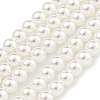 Glass Pearl Beads Strands HY-G002-01B-01-1