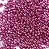 6/0 Glass Seed Beads X-SEED-A017-4mm-1111-2
