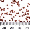 FGB 11/0 Grade A Glass Seed Beads X-SEED-S030-1210-4