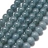 Natural Malaysia Jade Beads Strands G-L645-C01-12mm-09-1
