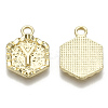 Alloy Pendants PALLOY-N157-003Y-NR-3