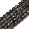 Natural Syenite Beads Strands G-K376-F09-01-2