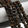 Natural Bronzite Beads Strands G-D081-A11-01-2