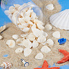 Shell Pendants SSHEL-TA0001-03-4