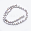 Natural Cultured Freshwater Pearl Beads Strands PEAR-K003-23B-01-2