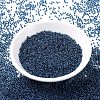 MIYUKI Round Rocailles Beads SEED-X0054-RR0347-1