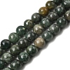 Natural Green Apatite Beads Strands G-K350-C04-10mm-2
