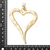 Alloy Big Pendants X-PALLOY-V009-11G-3