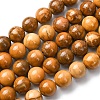 Natural Alashan Agate Beads Strands G-H343-D05-12mm-C-2