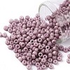 TOHO 8/0 Round Beads X-SEED-TR08-0766-1