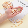 Natural Cowrie Shell Beads BSHE-CJ0002-01-4
