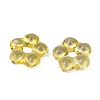 Transparent Glass Beads GLAA-F129-01M-2