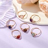Round Natural Amethyst/Green Aventurine/Carnelian/Rose Quartz/Tiger Eye/Lapis Lazuli Braided Finger Ring RJEW-JR00743-02-6
