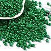 Baking Paint Glass Seed Beads SEED-H002-I-B508-1