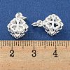 Rack Plating Brass Micro Pave Clear Cubic Zirconia Charms KK-F089-15S-3