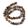 Natural Gobi Agate Beads Strands G-Z119-A36-02-4