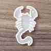 DIY Constellation Shaped Pendant Food-grade Silicone Molds LS-SIMO-D002-02I-2