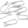 SHEGRACE Brass Earring Hooks XGR0003P-42P-1