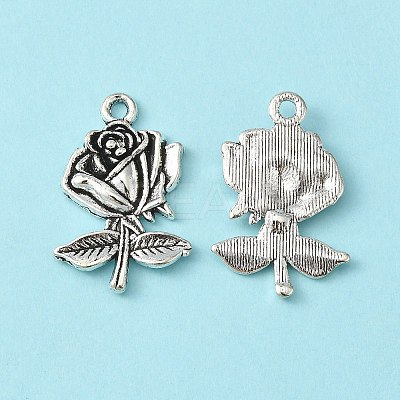 Tibetan Style Alloy Pendants X-TIBEP-EA155YKG-AS-LF-1