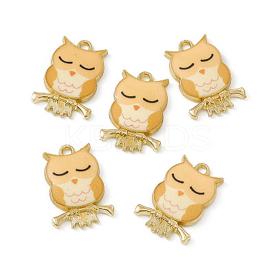 Painted Alloy Pendants LS-PALLOY-P288-01G-03-1