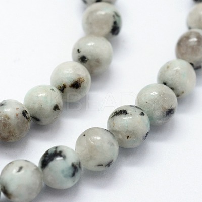 Natural Sesame Jasper/Kiwi Jasper Beads Strands G-I199-29-6mm-1