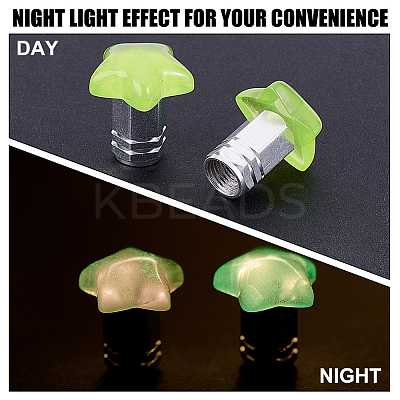 20Pcs 5 Colors Resin Star & Aluminium Alloy Tire Valve Stem Caps HJEW-NB00310-1