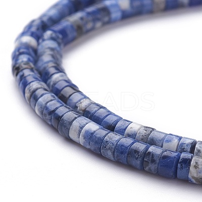 Natural Sodalite Beads Strands G-H230-10-1