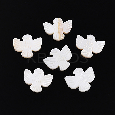 Natural Freshwater Shell Carved Beads SHEL-N036-12-1
