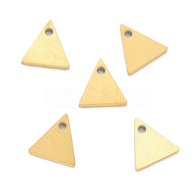 Ion Plating(IP) 304 Stainless Steel Pendants STAS-K216-45G-1