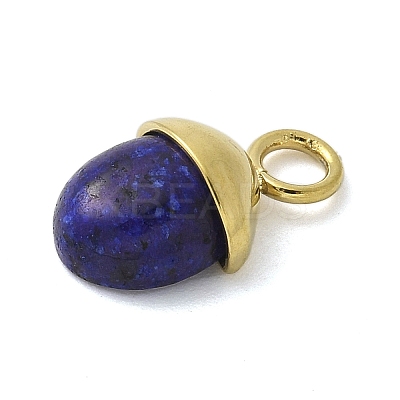 Dyed Natural Lapis Lazuli Pendants LS-STAS-L277-07G-06-1