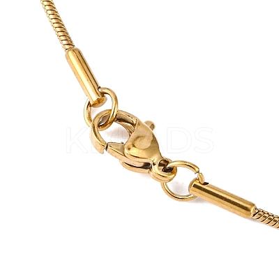 304 Stainless Steel Snake Chains Necklaces STAS-O057-21-1