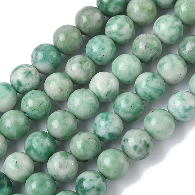 Natural Green Spot Jasper Beads Strands G-L651-A01-8mm-1