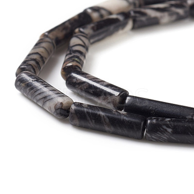 Natural Netstone Beads Strands G-F247-22-1