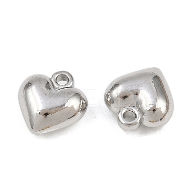 304 Stainless Steel Charms STAS-L303-13P-1