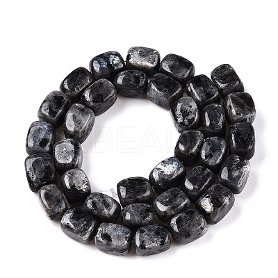 Natural Larvikite Beads Strands G-T138-106-1