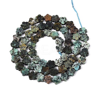 Natural African Turquoise(Jasper) Beads Strands G-N257-24A-05-1