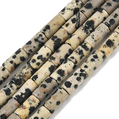 Natural Dalmatian Jasper Beads Strands G-B091-A19-01-1