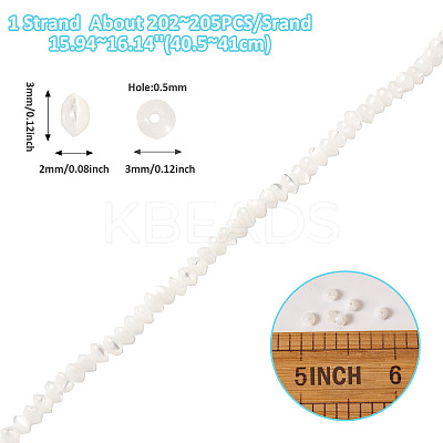 1 Strand Natural Trochus Shell Rondelle Beads Strands SSHEL-TA0001-16A-1
