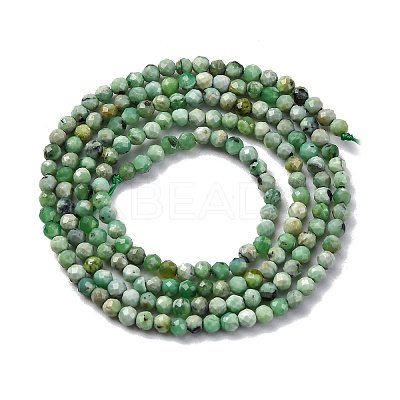 Natural Variscite Beads Strands LS-G-G188-B05-03-1
