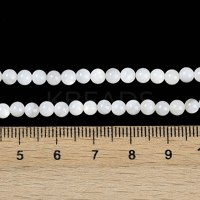 Natural Cultured Freshwater Shell Beads Strands BSHE-H109-03B-1