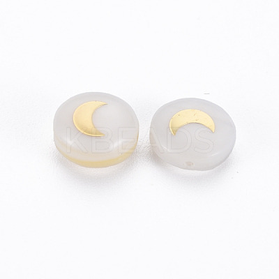 Natural Freshwater Shell Beads SHEL-N003-22-06-1