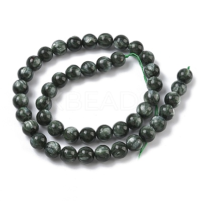 Natural Seraphinite Beads Strands G-C270-O01-07-1