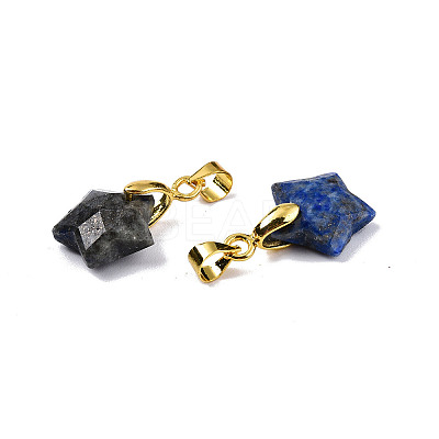 Natural Lapis Lazuli Charms X-G-N326-142-02-1