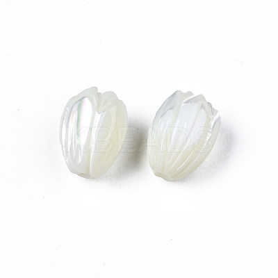 Natural Trochid Shell/Trochus Shell Beads SSHEL-T014-33-1