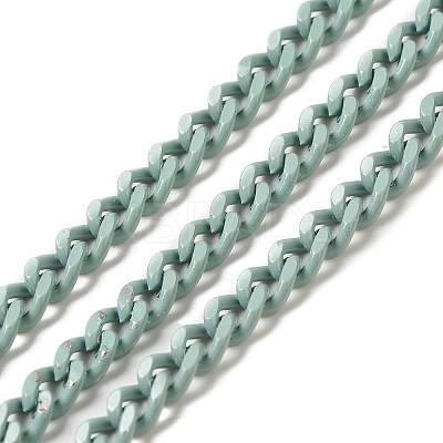 Spray Painted 304 Stainless Steel Curb Chains STAS-B067-05B-01-1