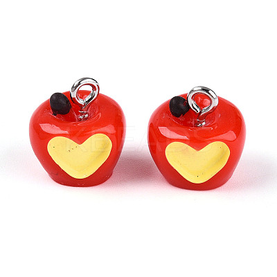 Resin and Enamel Charms RESI-T059-15-1